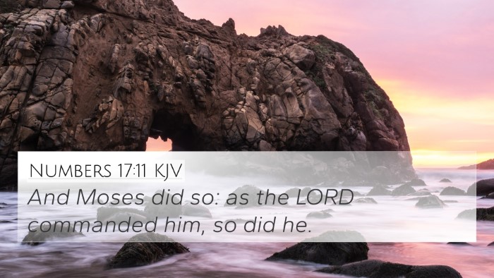 Numbers 17:11 KJV 4K Wallpaper - And Moses did so: as the LORD commanded him, so - 4K Wallpaper Bible Verse