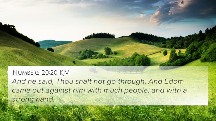 Numbers 20:20 KJV 4K Wallpaper - And he said, Thou shalt not go through. And Edom - 4K Wallpaper Bible Verse