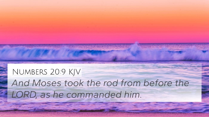 Numbers 20:9 KJV 4K Wallpaper - And Moses took the rod from before the LORD, as - 4K Wallpaper Bible Verse