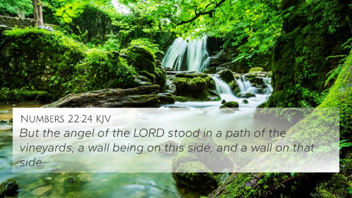 Numbers 22:24 KJV 4K Wallpaper - But the angel of the LORD stood in a path of the - 4K Wallpaper Bible Verse