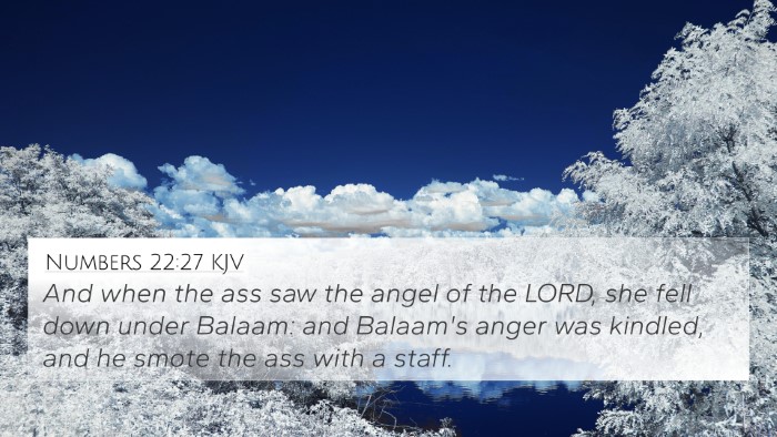 Numbers 22:27 KJV 4K Wallpaper - And when the ass saw the angel of the LORD, she - 4K Wallpaper Bible Verse