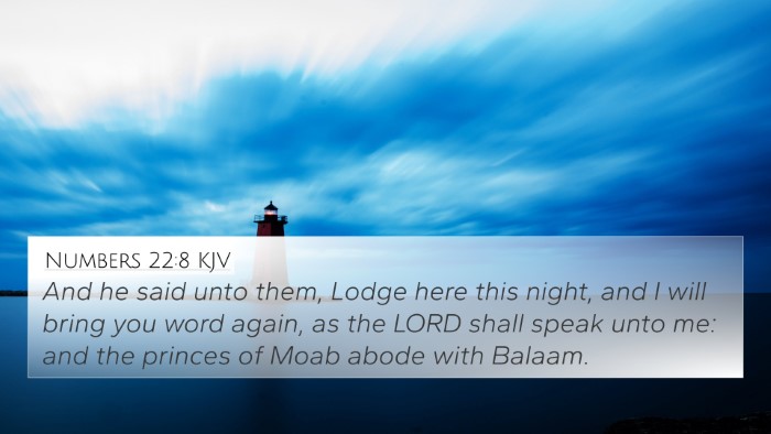 Numbers 22:8 KJV 4K Wallpaper - And he said unto them, Lodge here this night, and - 4K Wallpaper Bible Verse