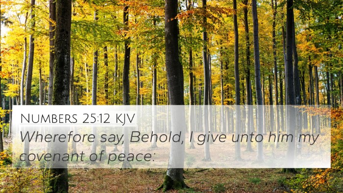 Numbers 25:12 KJV 4K Wallpaper - Wherefore say, Behold, I give unto him my - 4K Wallpaper Bible Verse