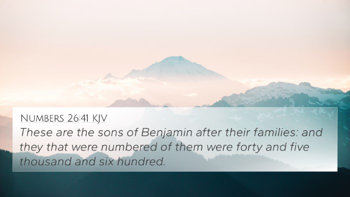 Numbers 26:41 KJV 4K Wallpaper - These are the sons of Benjamin after their - 4K Wallpaper Bible Verse