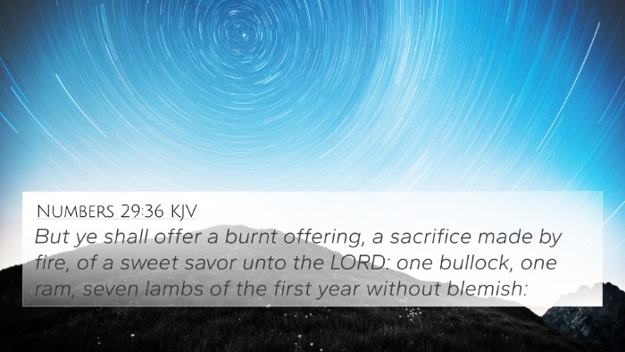 Numbers 29:36 KJV 4K Wallpaper - But ye shall offer a burnt offering, a sacrifice - 4K Wallpaper Bible Verse