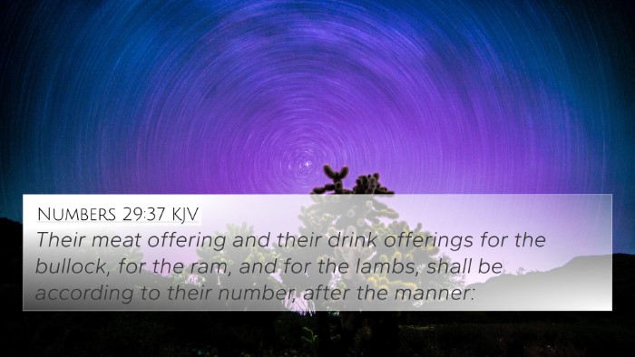 Numbers 29:37 KJV 4K Wallpaper - Their meat offering and their drink offerings for - 4K Wallpaper Bible Verse