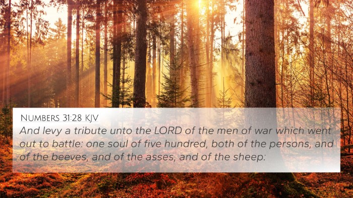 Numbers 31:28 KJV Bible Verse Image