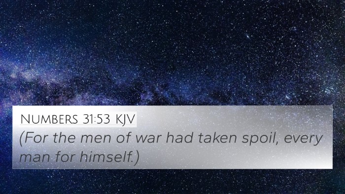 Numbers 31:53 KJV 4K Wallpaper - (For the men of war had taken spoil, every man - 4K Wallpaper Bible Verse