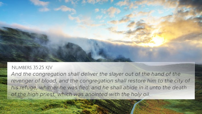 Numbers 35:25 KJV Bible Verse Image