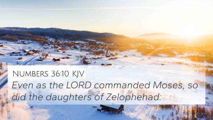 Numbers 36:10 KJV Bible Verse Image
