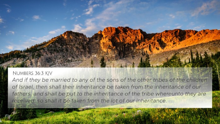 Numbers 36:3 KJV 4K Wallpaper - And if they be married to any of the sons of the - 4K Wallpaper Bible Verse