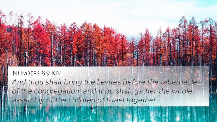 Numbers 8:9 KJV 4K Wallpaper - And thou shalt bring the Levites before the - 4K Wallpaper Bible Verse