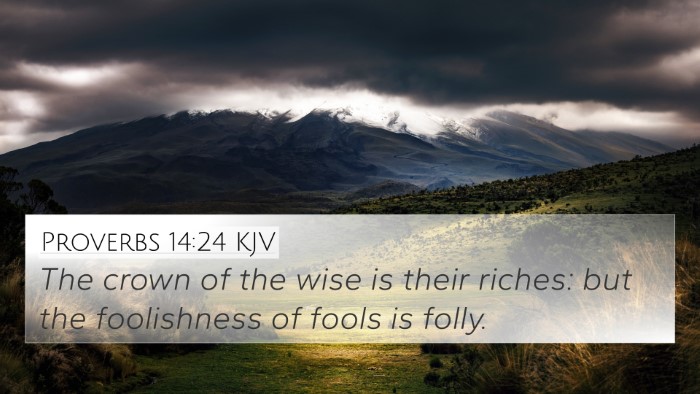 Proverbs 14:24 KJV 4K Wallpaper - The crown of the wise is their riches: but the - 4K Wallpaper Bible Verse