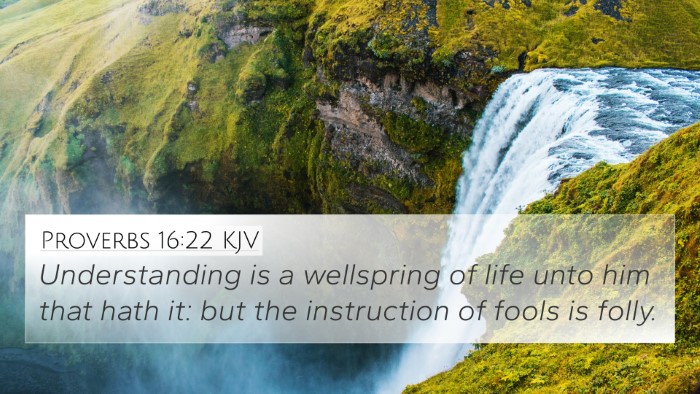 Proverbs 16:22 KJV Bible Verse Image