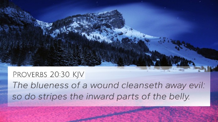 Proverbs 20:30 KJV 4K Wallpaper - The blueness of a wound cleanseth away evil: so - 4K Wallpaper Bible Verse