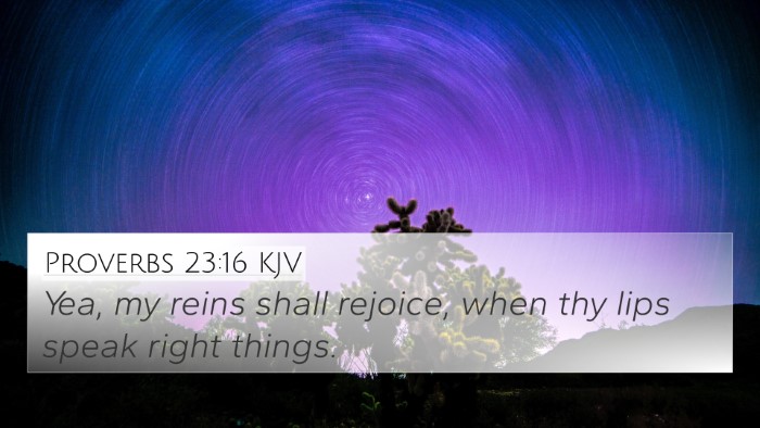 Proverbs 23:16 KJV Bible Verse Image