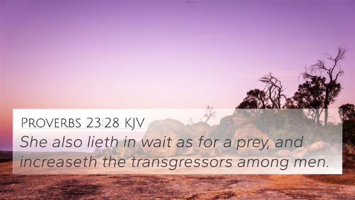 Proverbs 23:28 KJV 4K Wallpaper - She also lieth in wait as for a prey, and - 4K Wallpaper Bible Verse