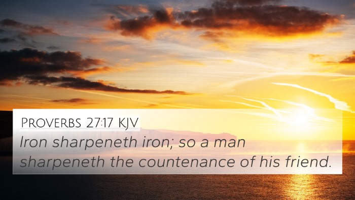 Proverbs 27:17 KJV Bible Verse Image