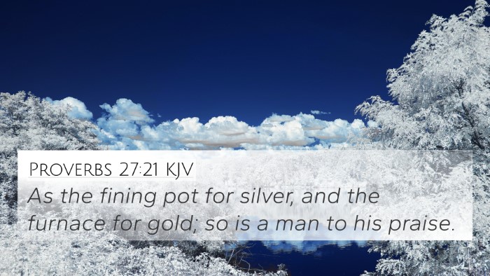 Proverbs 27:21 KJV 4K Wallpaper - As the fining pot for silver, and the furnace for - 4K Wallpaper Bible Verse