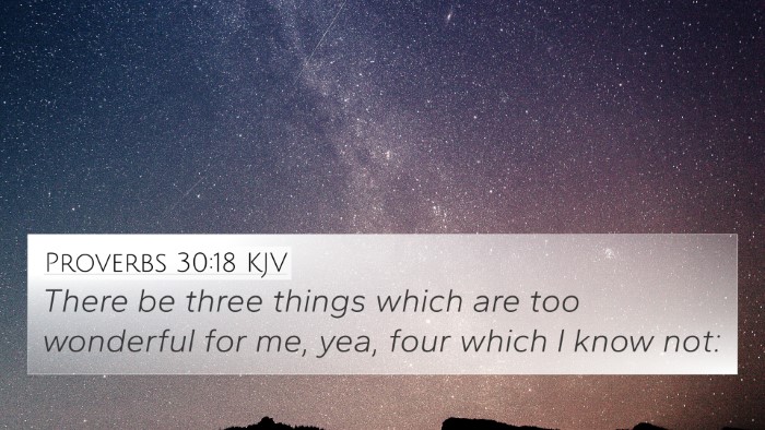 Proverbs 30:18 KJV 4K Wallpaper - There be three things which are too wonderful for - 4K Wallpaper Bible Verse