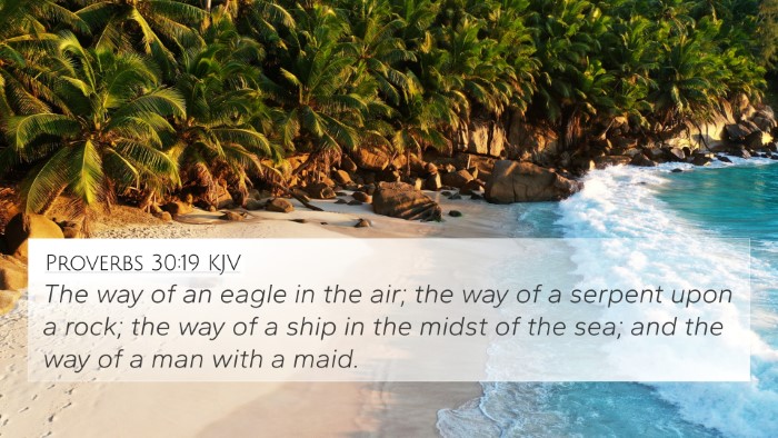 Proverbs 30:19 KJV 4K Wallpaper - The way of an eagle in the air; the way of a - 4K Wallpaper Bible Verse