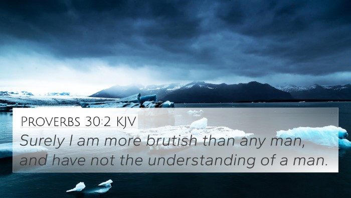 Proverbs 30:2 KJV Bible Verse Image