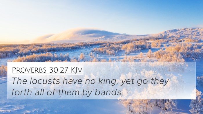 Proverbs 30:27 KJV Bible Verse Image
