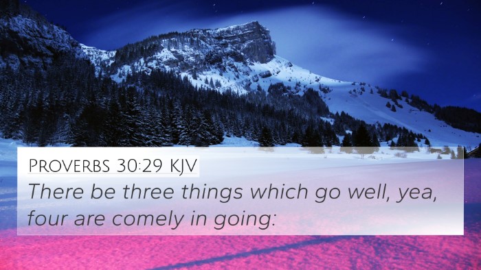 Proverbs 30:29 KJV Bible Verse Image