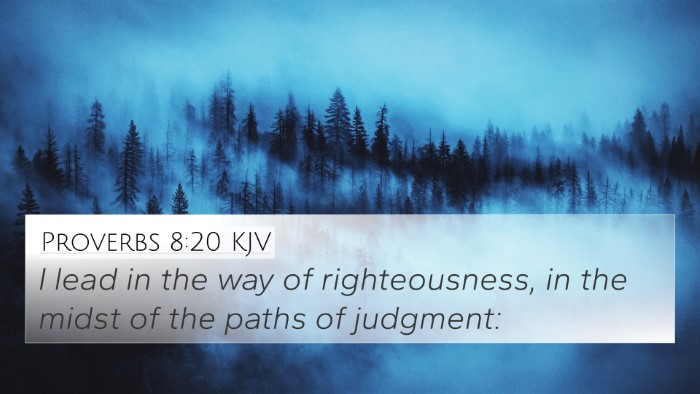 Proverbs 8:20 KJV Bible Verse Image