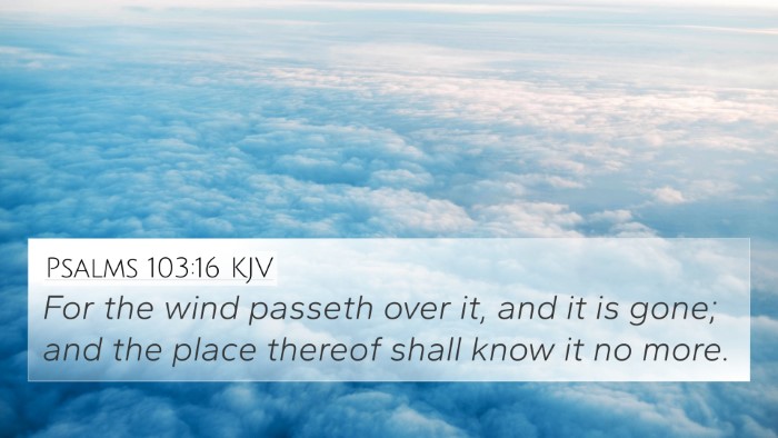 Psalms 103:16 KJV 4K Wallpaper - For the wind passeth over it, and it is gone; and - 4K Wallpaper Bible Verse