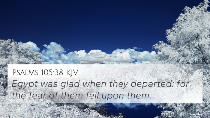 Psalms 105:38 KJV Bible Verse Image