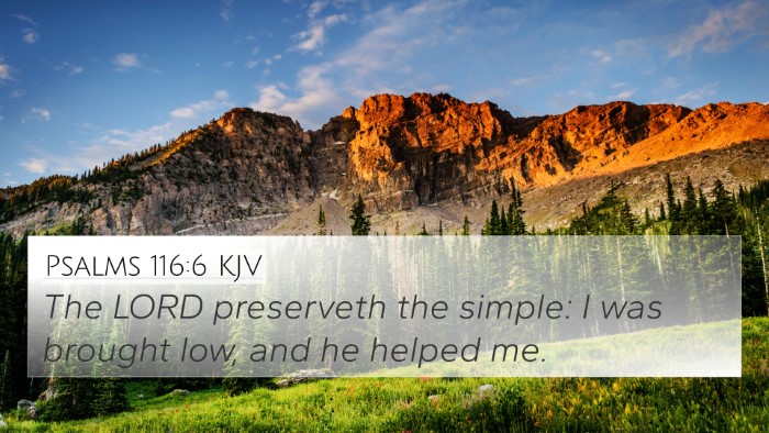 Psalms 116:6 KJV Bible Verse Image