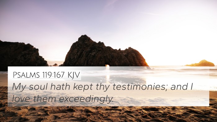 Psalms 119:167 KJV Bible Verse Image