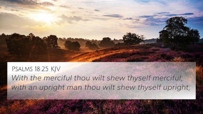 Psalms 18:25 KJV Bible Verse Image