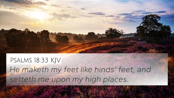 Psalms 18:33 KJV Bible Verse Image