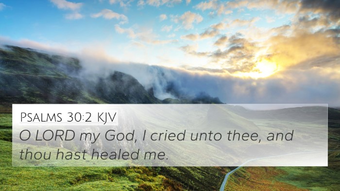 Psalms 30:2 KJV Bible Verse Image
