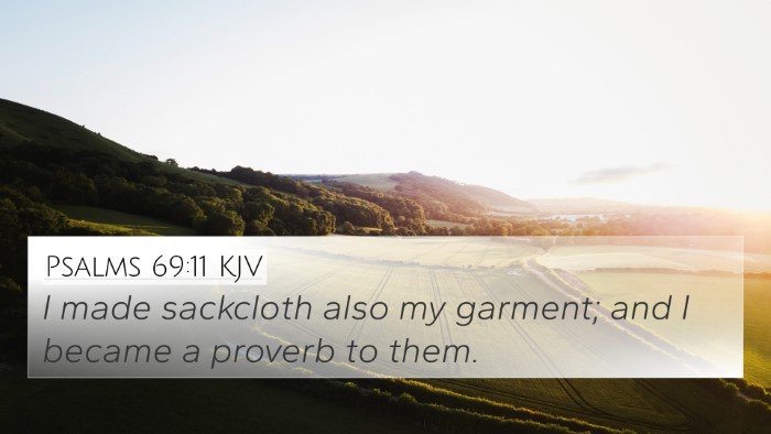 Psalms 69:11 KJV 4K Wallpaper - I made sackcloth also my garment; and I became a - 4K Wallpaper Bible Verse