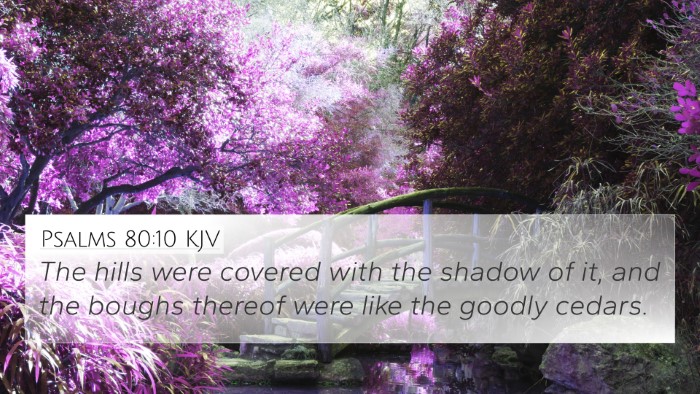 Psalms 80:10 KJV 4K Wallpaper - The hills were covered with the shadow of it, and - 4K Wallpaper Bible Verse