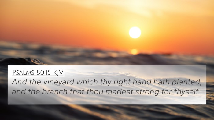 Psalms 80:15 KJV 4K Wallpaper - And the vineyard which thy right hand hath - 4K Wallpaper Bible Verse