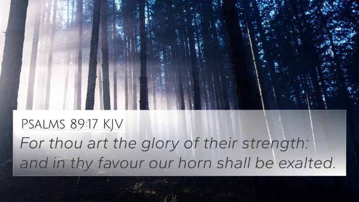 Psalms 89:17 KJV Bible Verse Image