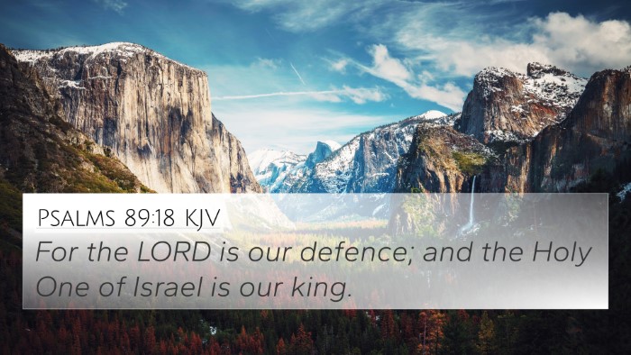 Psalms 89:18 KJV Bible Verse Image