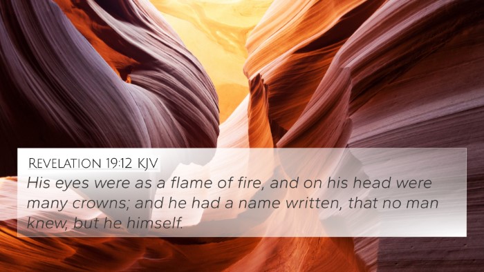 Revelation 19:12 KJV Bible Verse Image