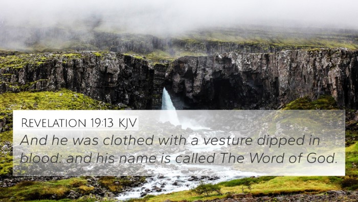 Revelation 19:13 KJV Bible Verse Image