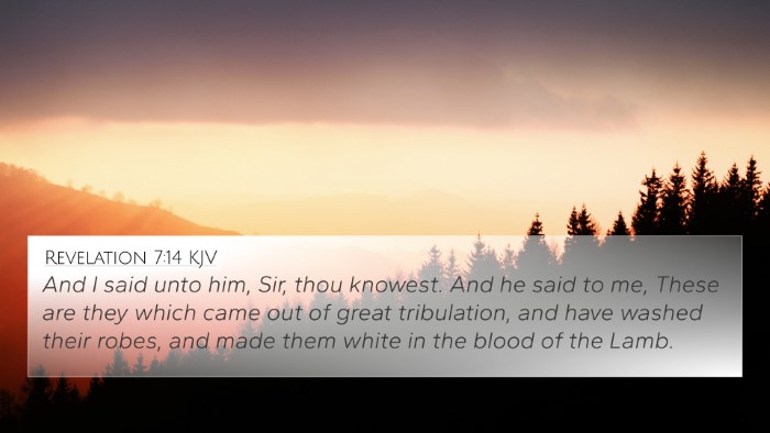 Revelation 7:14 KJV Bible Verse Image