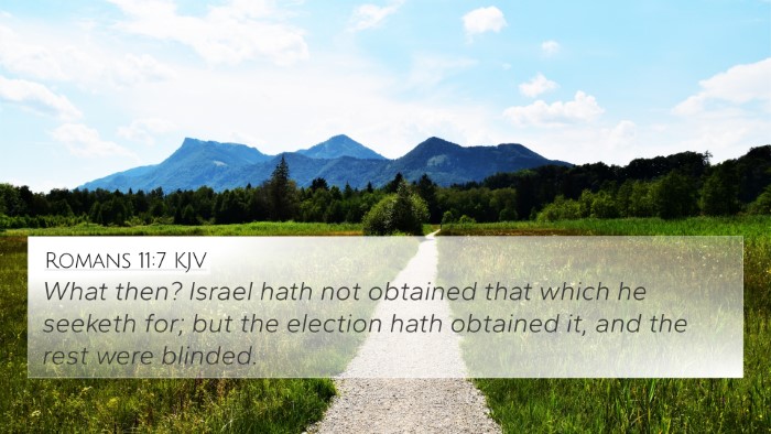 Romans 11:7 KJV Bible Verse Image