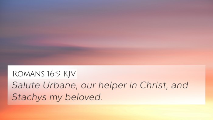 Romans 16:9 KJV Bible Verse Image