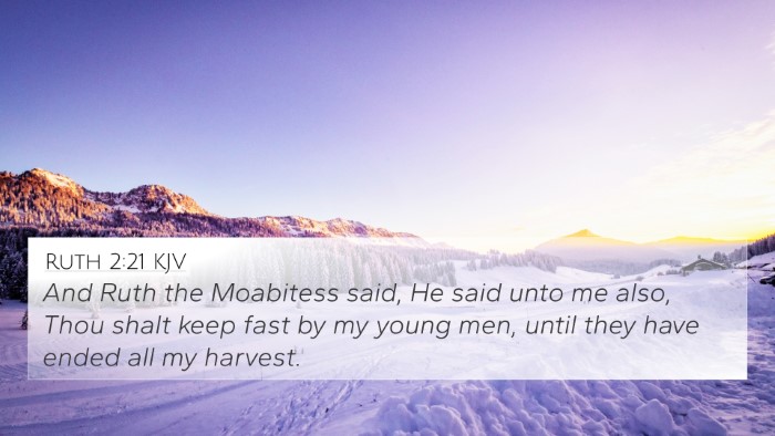 Ruth 2:21 KJV 4K Wallpaper - And Ruth the Moabitess said, He said unto me - 4K Wallpaper Bible Verse