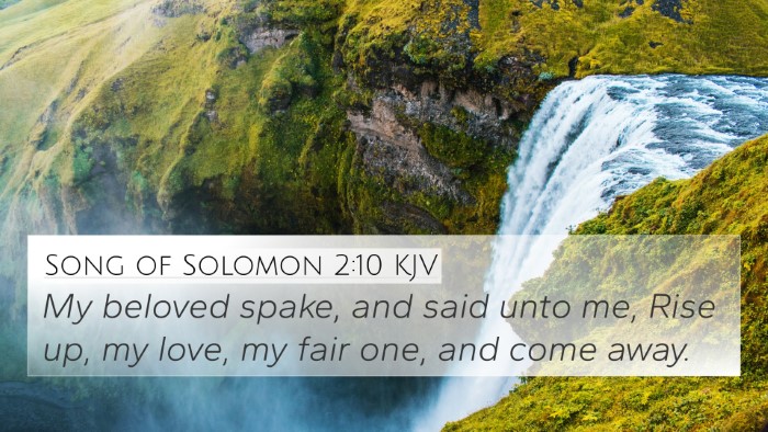 Song of Solomon 2:10 KJV Bible Verse Image