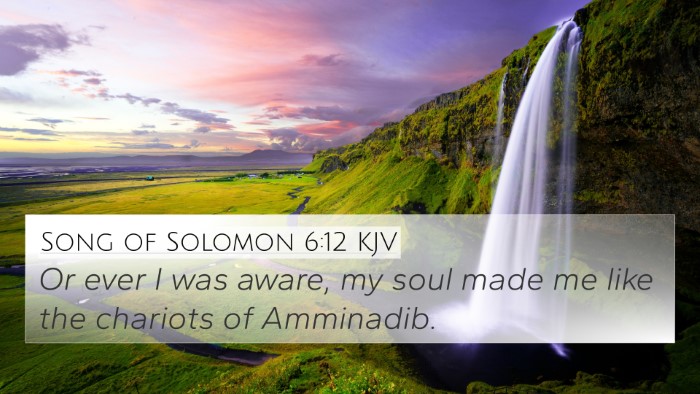 Song of Solomon 6:12 KJV 4K Wallpaper - Or ever I was aware, my soul made me like the - 4K Wallpaper Bible Verse