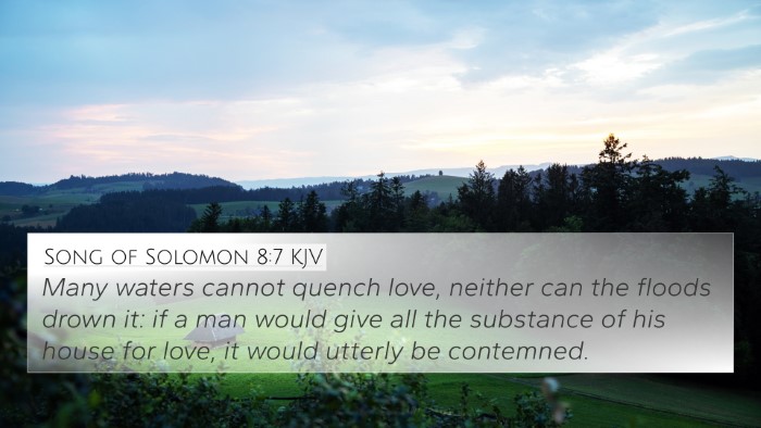 Song of Solomon 8:7 KJV Bible Verse Image